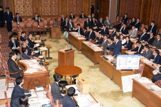 参院ＴＰＰ特別委員会で質疑に立つ川合議員