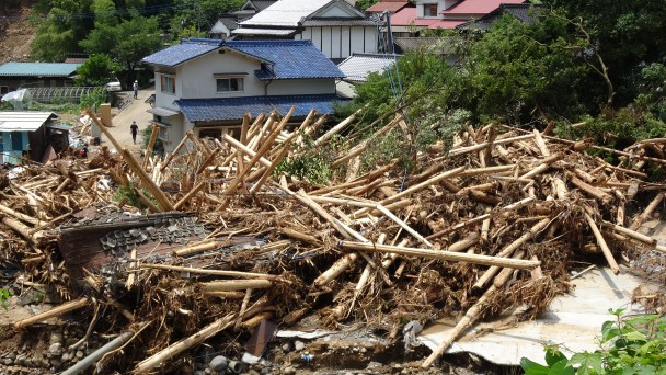 流木による被害